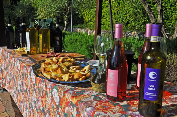 wine tasting in farm in montaione