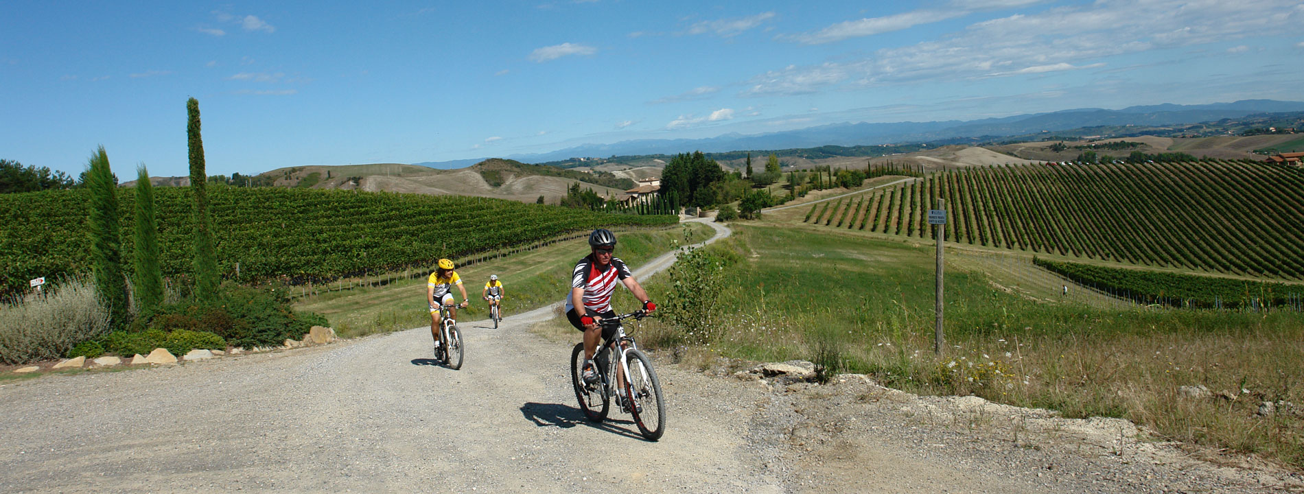 Agriturismo Biologico In Toscana A Montaione Belmonte Vacanze