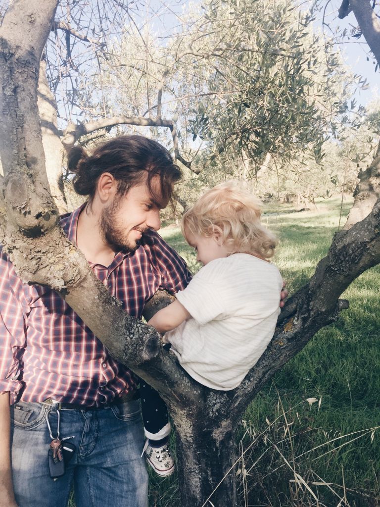 Bio-Olivenbaum Patenschaft verschenken in der Toskana, Italien