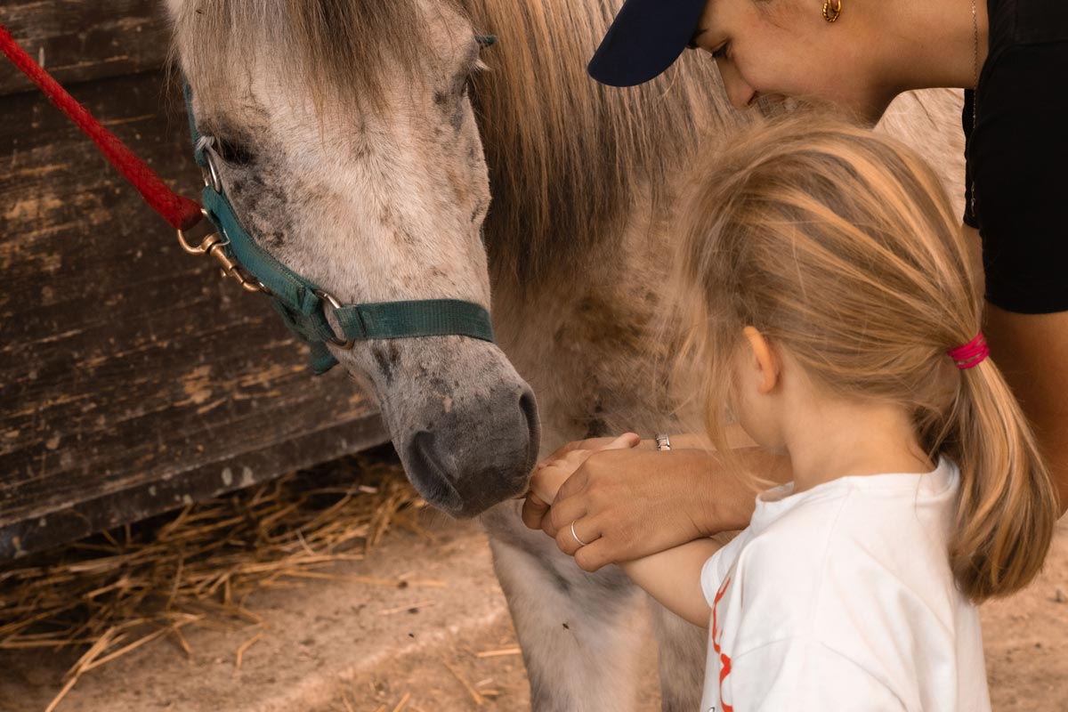 child.pony.ride