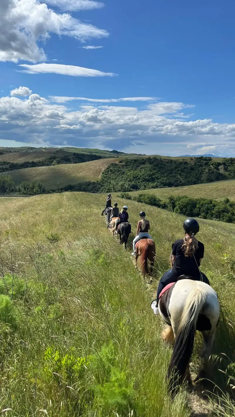 horse.riding.hills.volterra